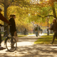 Image for article titled Men Accused of Sexual Misconduct on Campuses Are Suing Over ‘Anti-Male Bias,' and It's Working